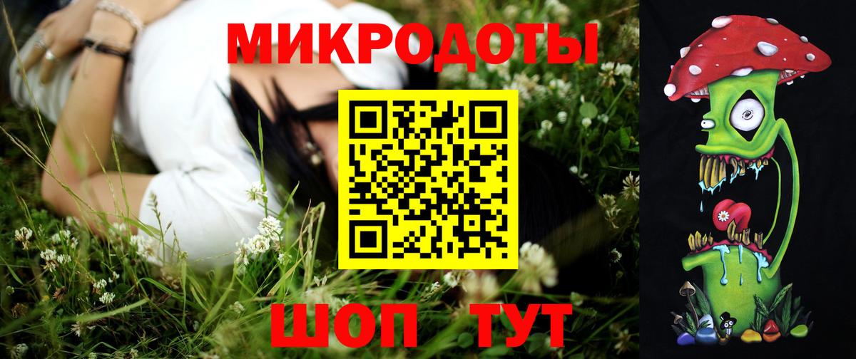 Галлюциногенные грибы MAGIC MUSHROOMS Городец