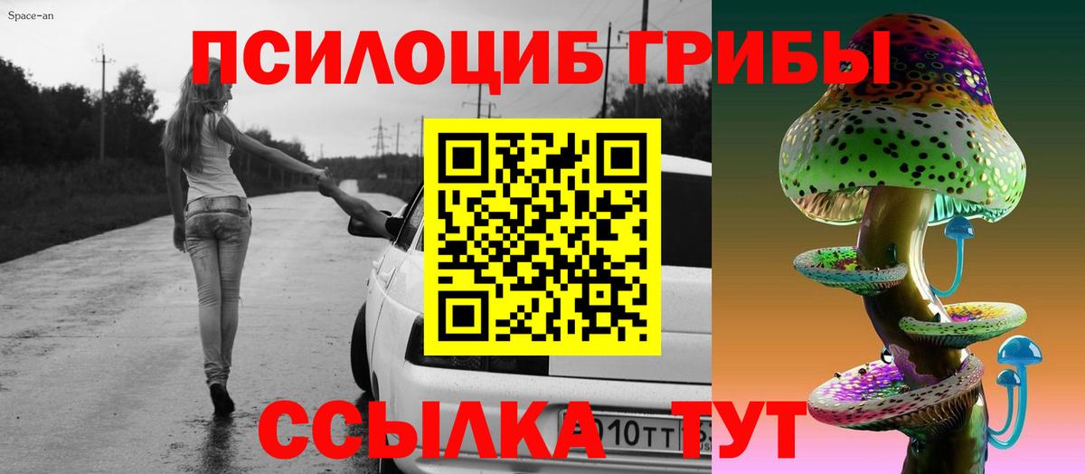 Городец  Галлюциногенные грибы мицелий  Вход с VPN 
